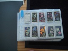 ONE COMPLETE SET CIGARETTE CARDS WILLS WILD FLOWERS