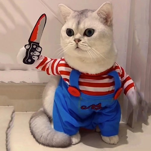 Funny halloween pet costume - funny,