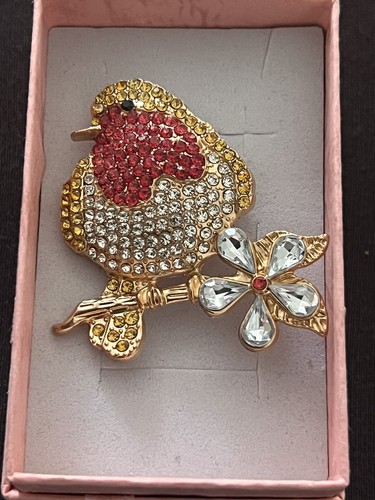 Ladies diamanté robin broach - ,