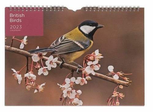 British birds week - british, a4