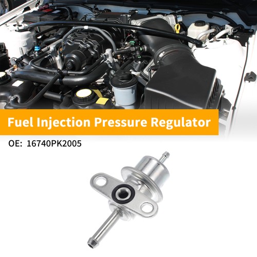 Fuel pressure regulator for - fuel,