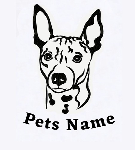 Personalised hairless terrier - hairless,