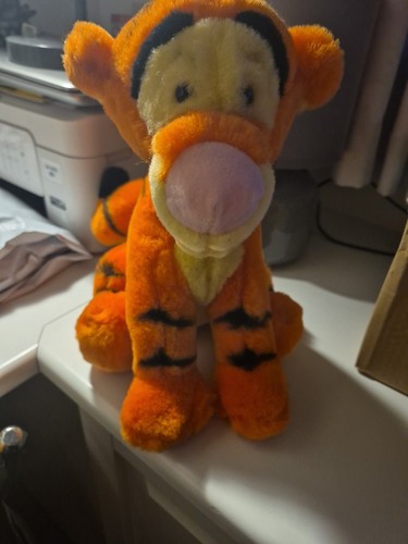 Tiger from jungle - tiger, soft