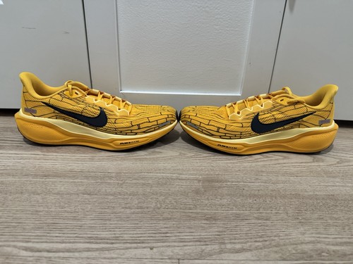 Men nike pegasus size - men’s,