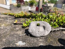 Hag stone small - hag,
