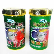 2 x Xo Ocean Free Flowerhorn