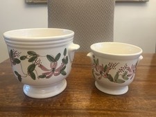 Iden Pottery Honeysuckle Plant