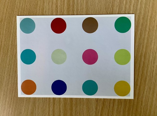 Damien hirst other criteria - hirst,