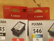 Canon Pixma Ink Multipack CL546 and PG545XL, 2-Pack