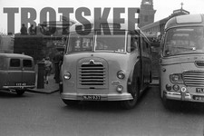 35mm Negative Whitehead