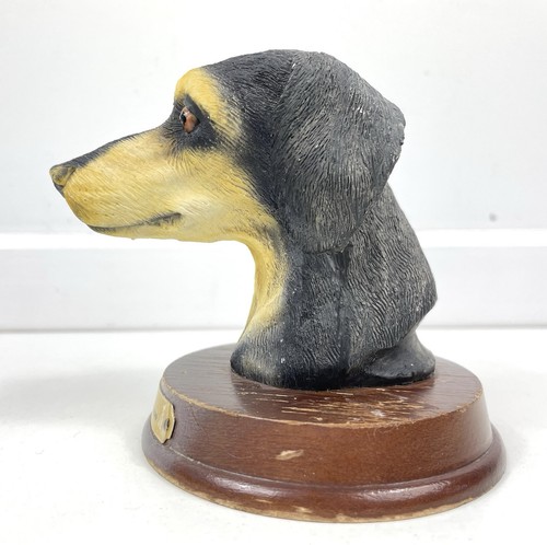 Funny doberman dog - funny,