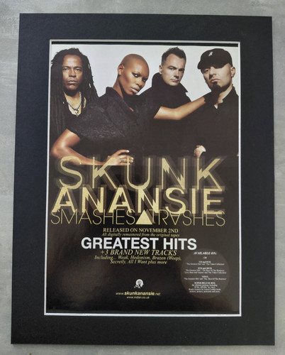 Skunk anansie greatest hits - skunk,