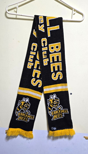 Vintage bracknell bees ice - bracknell,