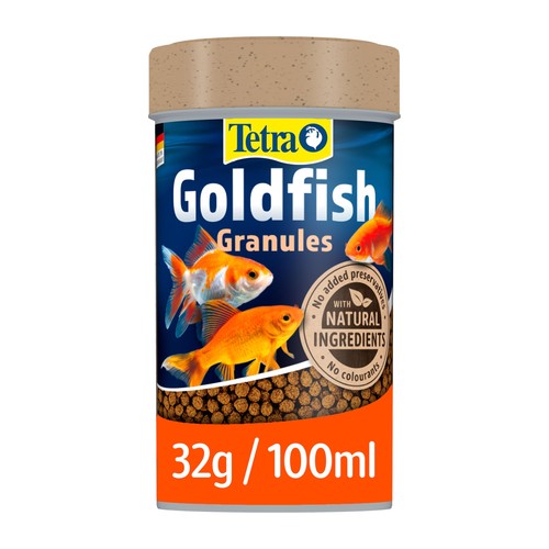 Tetra goldfish fish - tetra,