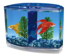 Twin Betta Bow-Front Kit for