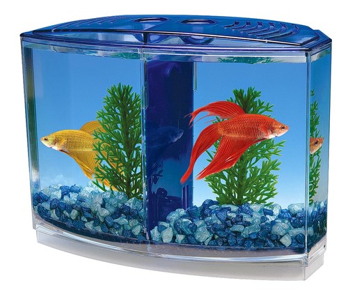 Twin betta bow front kit - kit, for