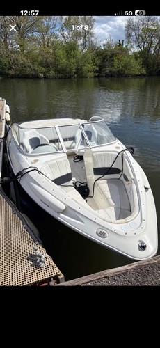 Campion allante bowrider speed - campion,