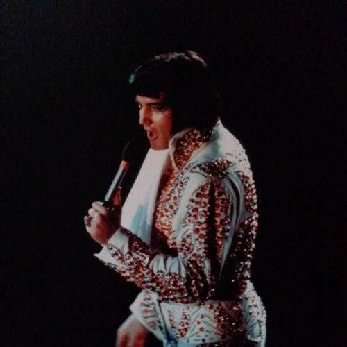 Original 8x10 elvis presley - original,