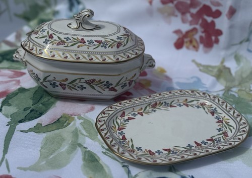 Spode cabinet collection - cabinet,