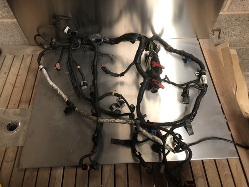 Ford focus st225 engine wiring - focus,