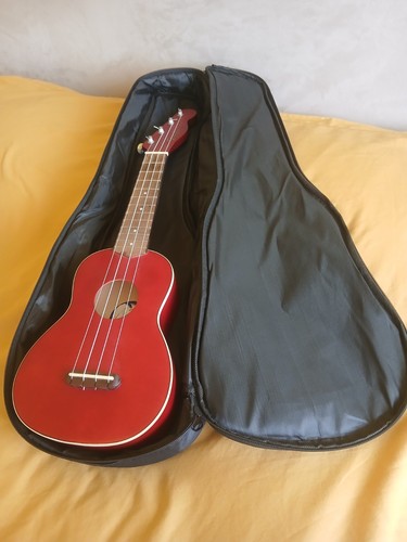Fender california coast - fender,