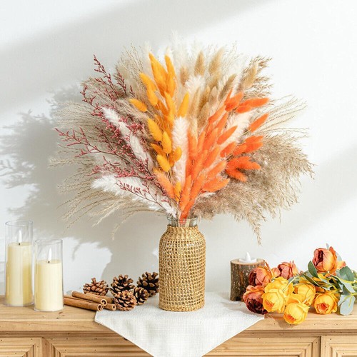 Orange rabbit tail grass - rabbit,