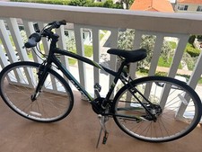 Raleigh “Alysa 1” Hybrid