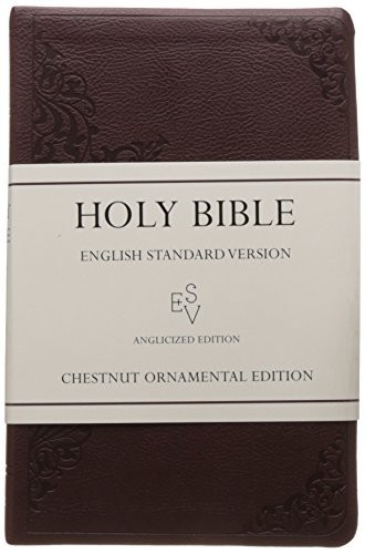 Holy bible english standard - holy,