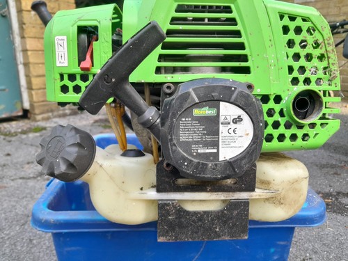 Petrol strimmer bought - , in