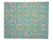 Shinobu Ishihara Color