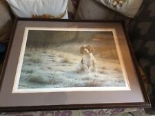 Early Steven Townsend Dash The