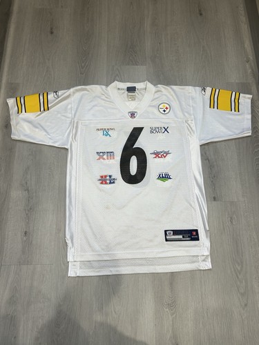 Pittsburgh steelers 2009 - pittsburgh, 6