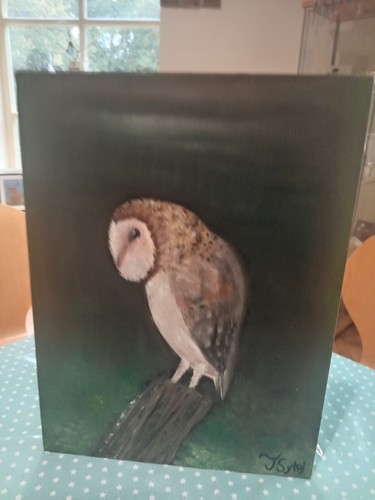 Iconic barn owl oil - oil, on