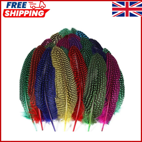 10pcs wing spotted guinea - wing, fowl