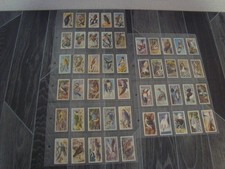 Brooke Bond Tea Cards Set " BIRD PORTRAITS "  With Address   In Sleeves