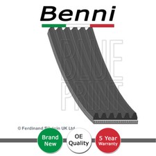 Alternator Belt Benni Fits