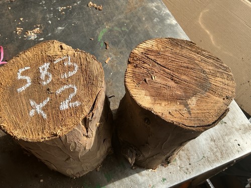 Yew rounds round - yew,yew, rounds,round