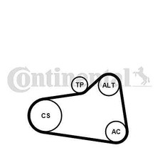 Continental ctam 6pk905 extra - continental,
