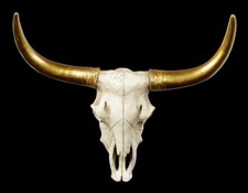 Wall Relief Buffalo Skull -