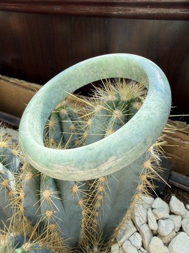 60mm wide natural jadeite - 60mm,