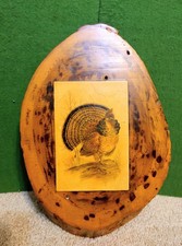 Vtg  Ruffed Grouse Photo