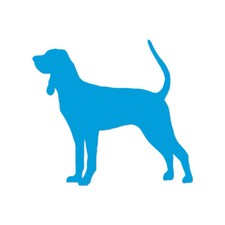 Black Tan Coonhound Dog -