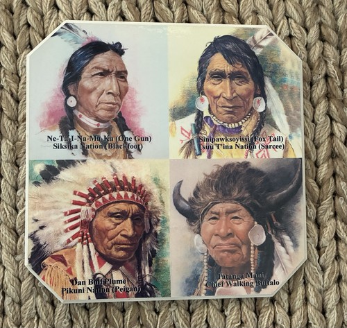 Indigenous american indian - american,
