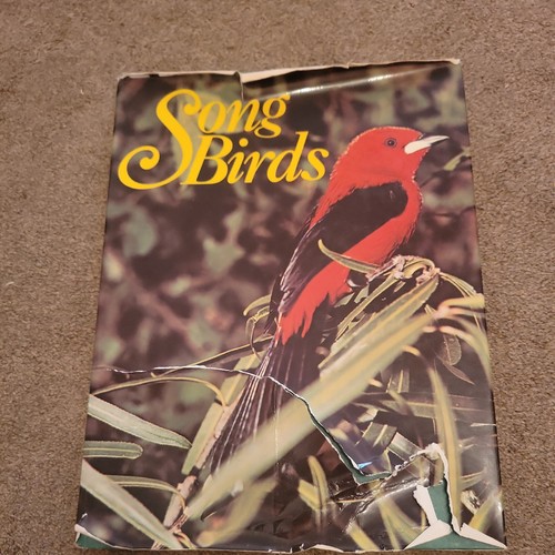 Vintage song birds edited - song,