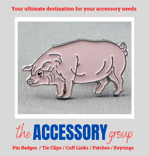 New farm pig - farm,