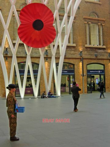 Photo poppy appeal - appeal, king's