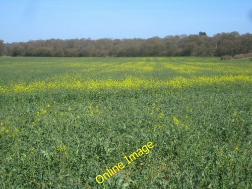 Photo 6x4 lower field - 6x4,