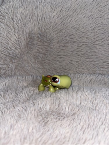 Littlest pet shop - pet, tortoise