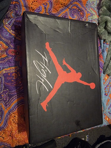 Nike air jordan - air, x