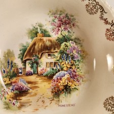 Creampetal "Homestead"